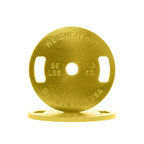 Cast Iron Machined Weight Plate Pairs