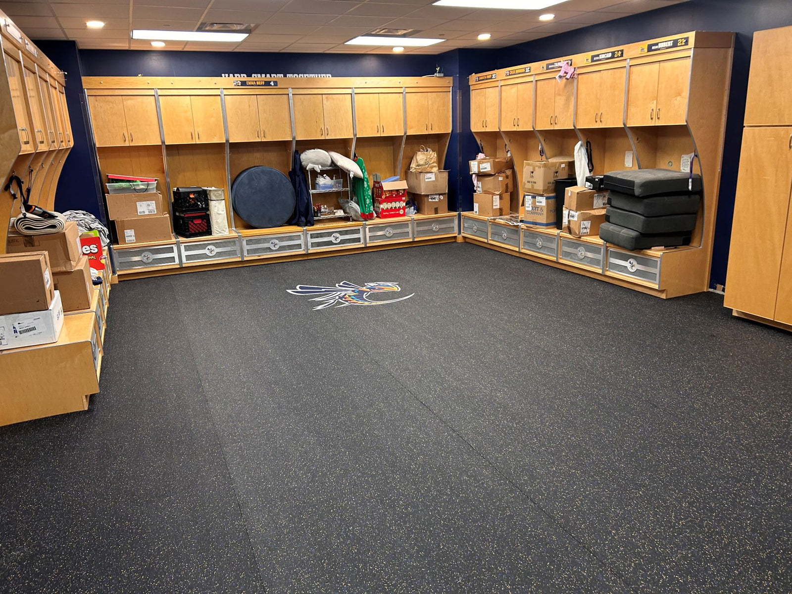 Cedarville University