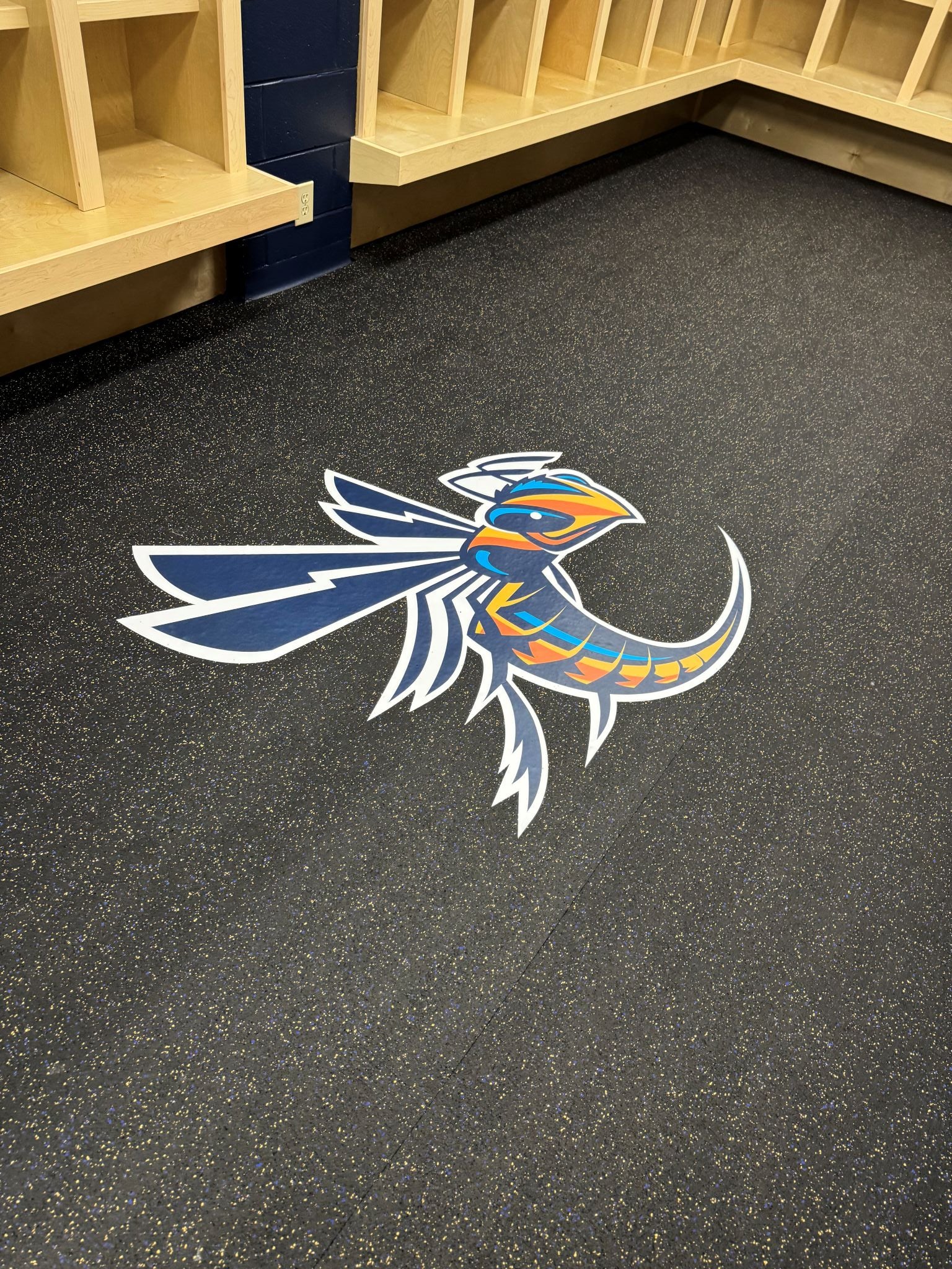 Cedarville University