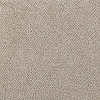 Carpet surface