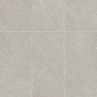 Tile surface